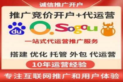 百度竞价排名机制：成功案例与策略探讨